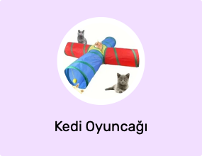Kedi Oyuncağı