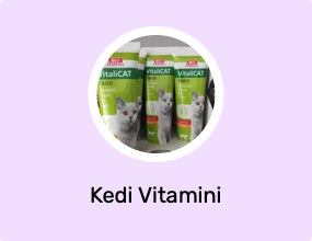 Kedi Vitamini