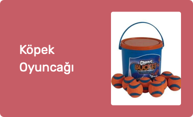 Köpek Oyuncağı