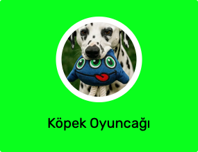 Köpek Oyuncağı