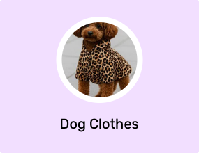 Dog Clothes