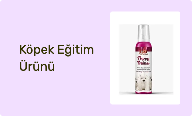 Köpek Eğitim Ürünü