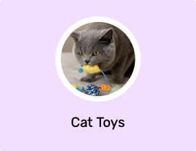 Cat Toys