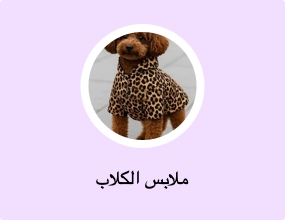 ملابس الكلاب
