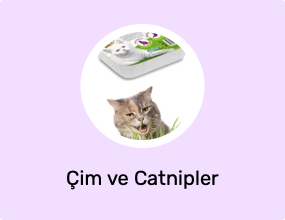 Çim ve Catnipler
