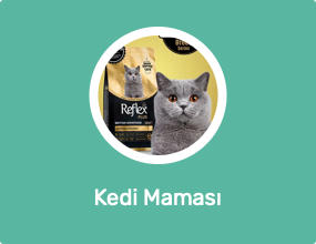 Kedi Maması