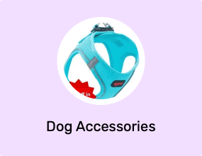 Dog Accessories