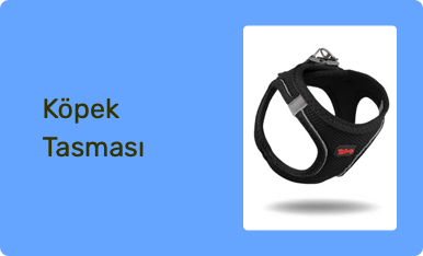 Köpek Tasması