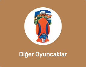 Diğer Oyuncaklar