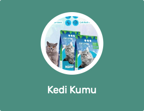 Kedi Kumu