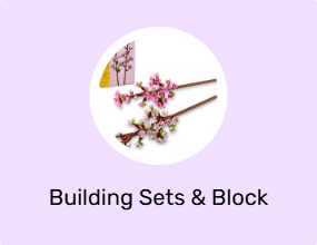 Building Sets & Block Toys