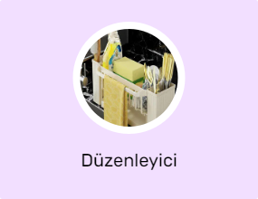 Düzenleyici
