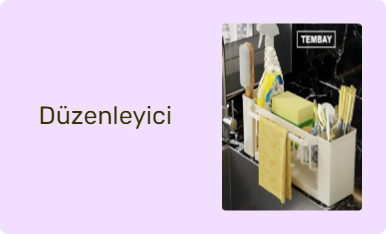 Düzenleyici