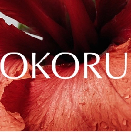 OKORU KORE