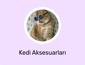 Kedi Aksesuarları