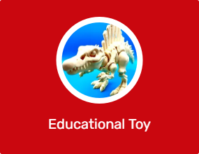 Educational Toy