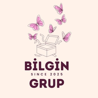 BilginGrup