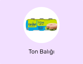Ton Balığı