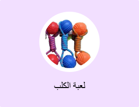 لعبة الكلب