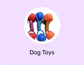 Dog Toys