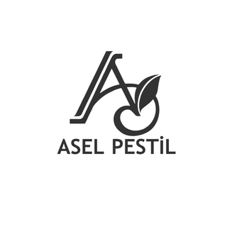 ASEL PESTİL