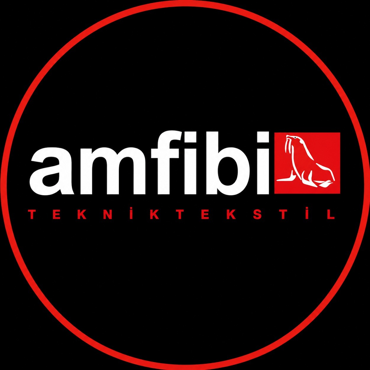 AMFİBİ