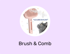Brush & Comb