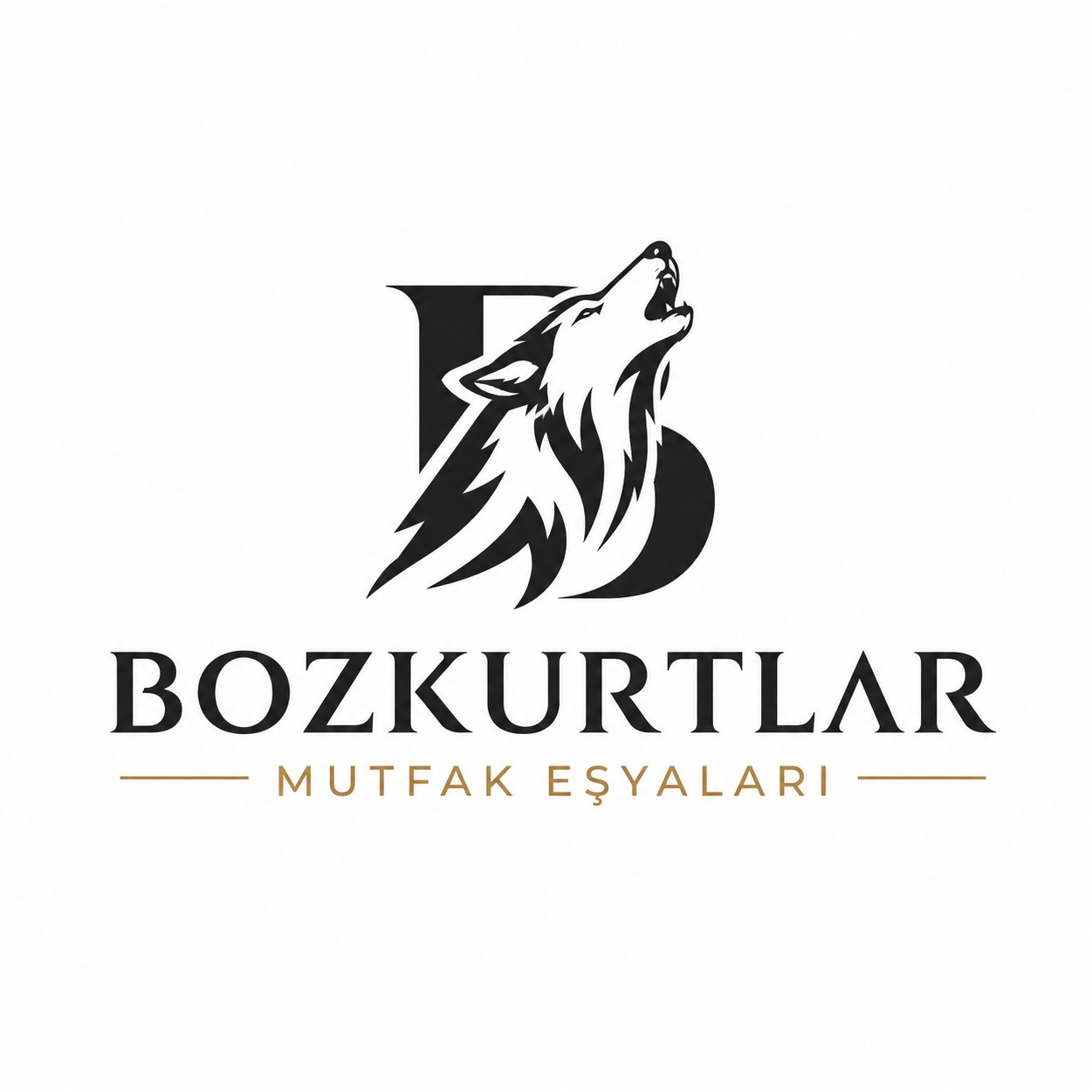 BOZKURTLAR MUTFAK EŞYALARI