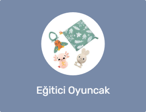 Eğitici Oyuncak