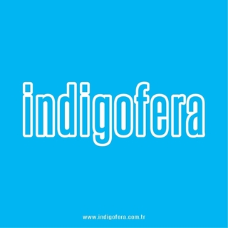 indigofera