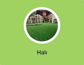 Halı