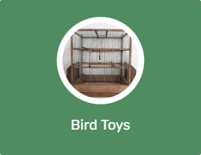 Bird Toys