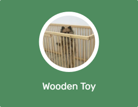 Wooden Toy