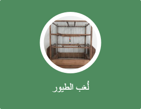 لُعَب الطيور