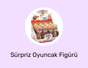 Sürpriz Oyuncak Figürü