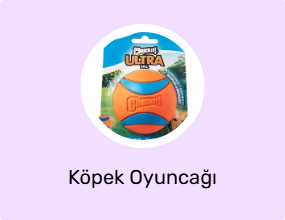 Köpek Oyuncağı