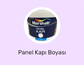 Panel Kapı Boyası