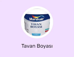 Tavan Boyası