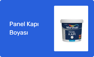 Panel Kapı Boyası