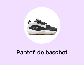 Pantofi de baschet
