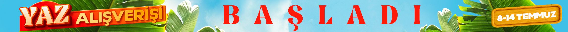 top-banner
