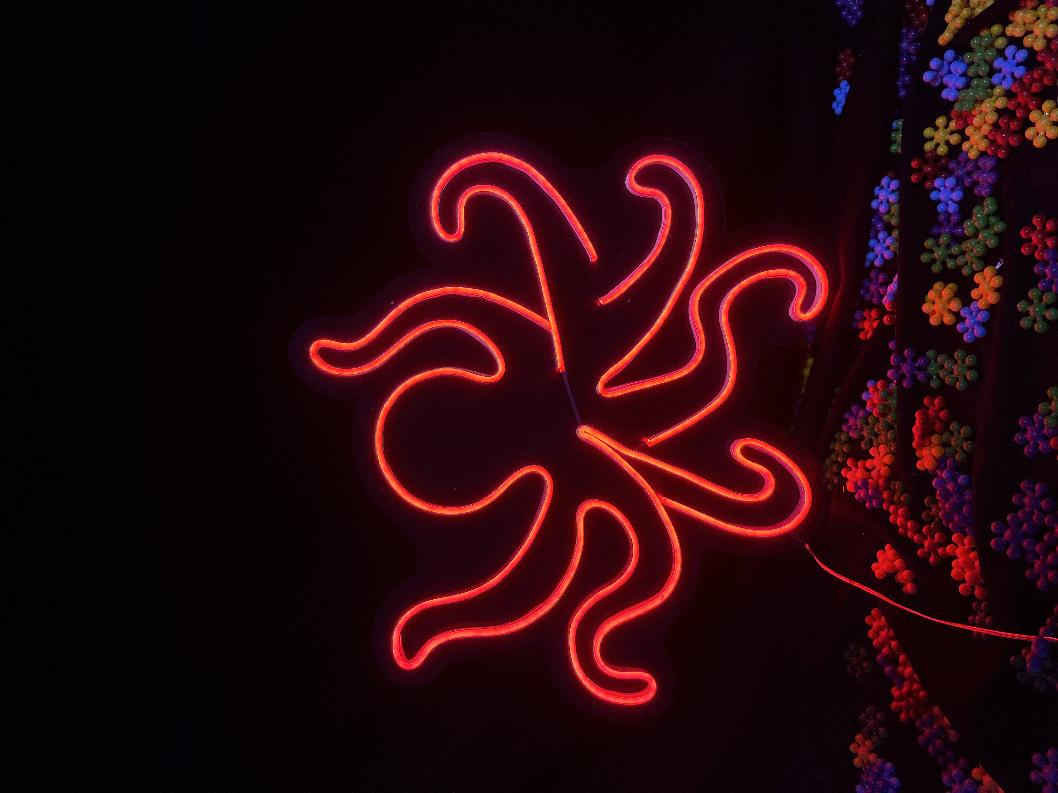 Ahtapot V2 - Dekoratif Duvar Aydınlatması Neon Led Yazı Deniz Canlısı 50x47 cm