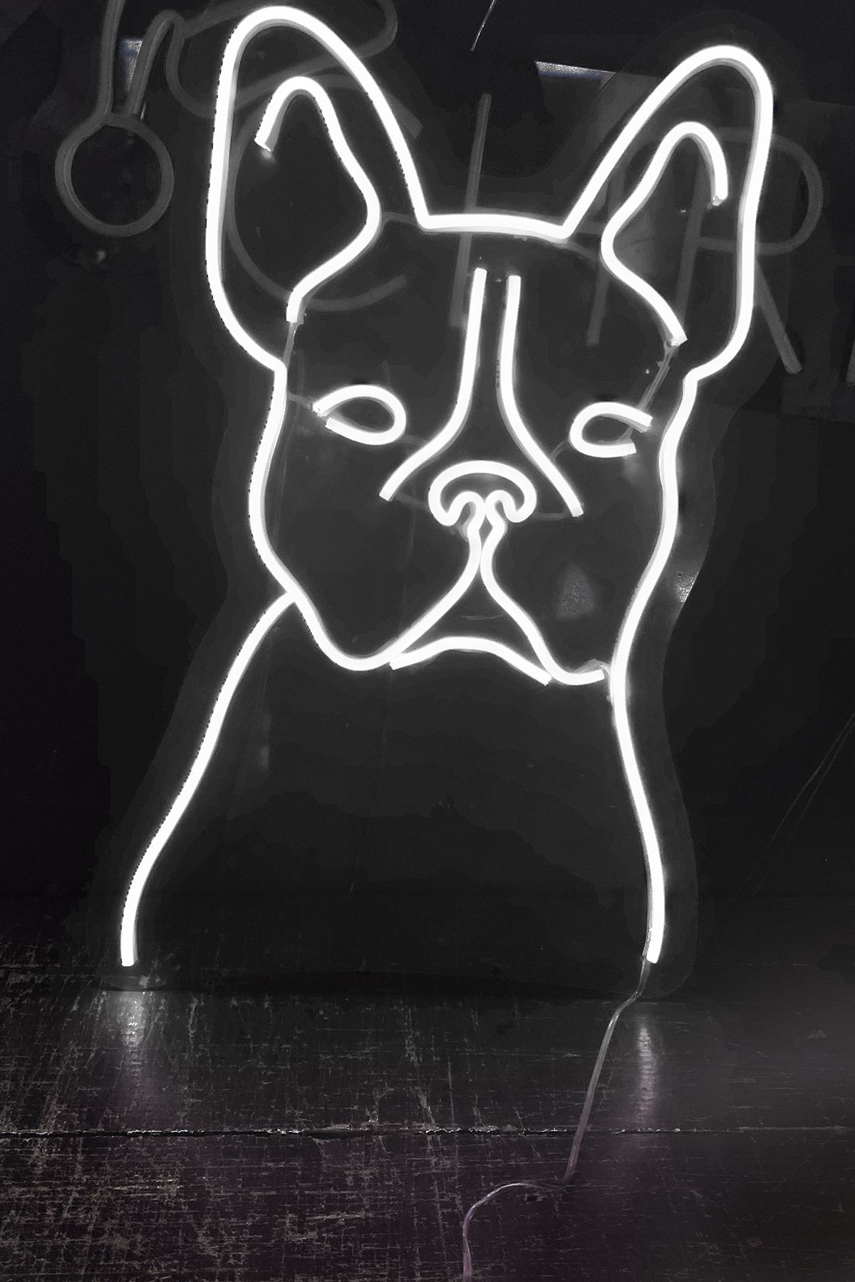Işıklı Bulldog: Neon LED Tabela Duvar Dekorasyon Ürünü