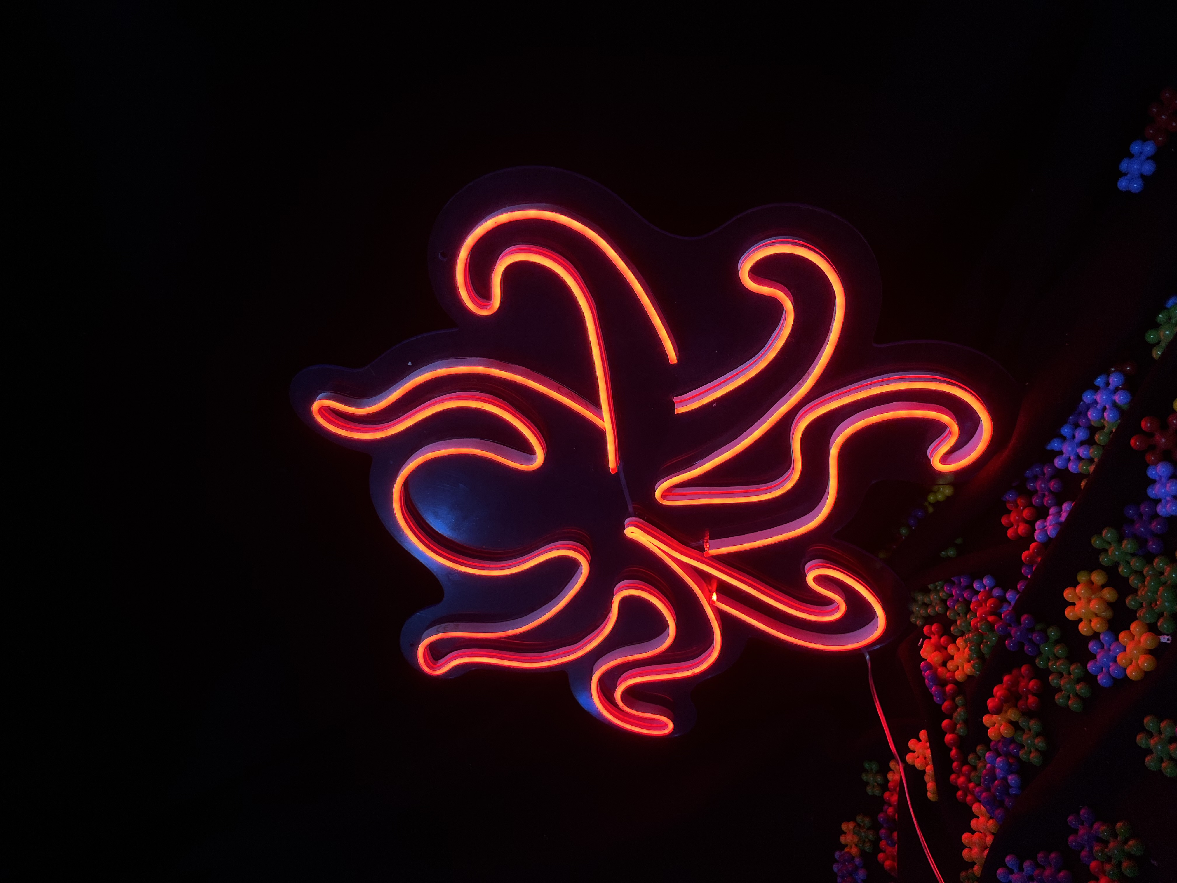 Ahtapot V2 - Dekoratif Duvar Aydınlatması Neon Led Yazı Deniz Canlısı 50x47 cm