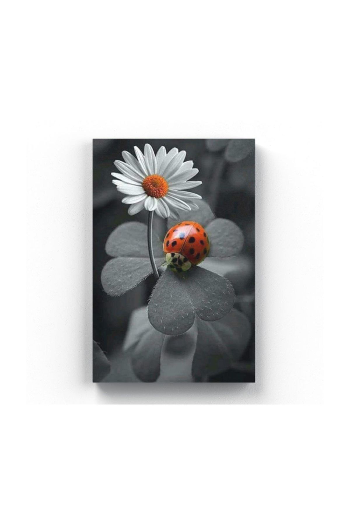 kanvas tablo 20 x 30 cm tb 3238uk