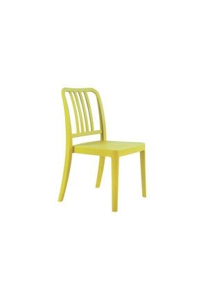 Varia Sandalye Sarı Mutfak Sandalyesi Kolçaksız ppcvariasandalye