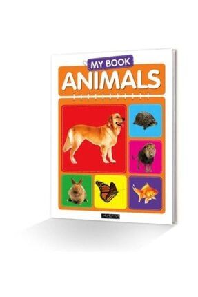 My Book Animals Kolektif - Kolektif 89688
