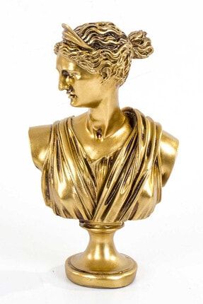 By Ari Ev Dekorasyon Gold Afrodit Bustu Heykel Biblo Trendyol