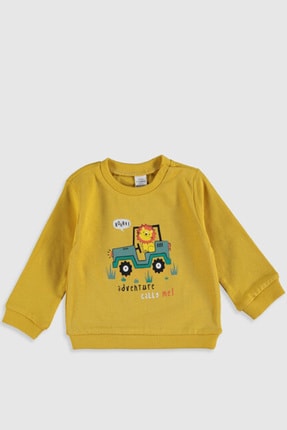 Darbogaz Gizlenmek Durum Lcw Erkek Bebek Ikili Sweatshirt Diegochavez Net