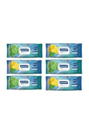 Antibakteriyel Islak Havlu Mendil 6 Paket 720 Yaprak 454546